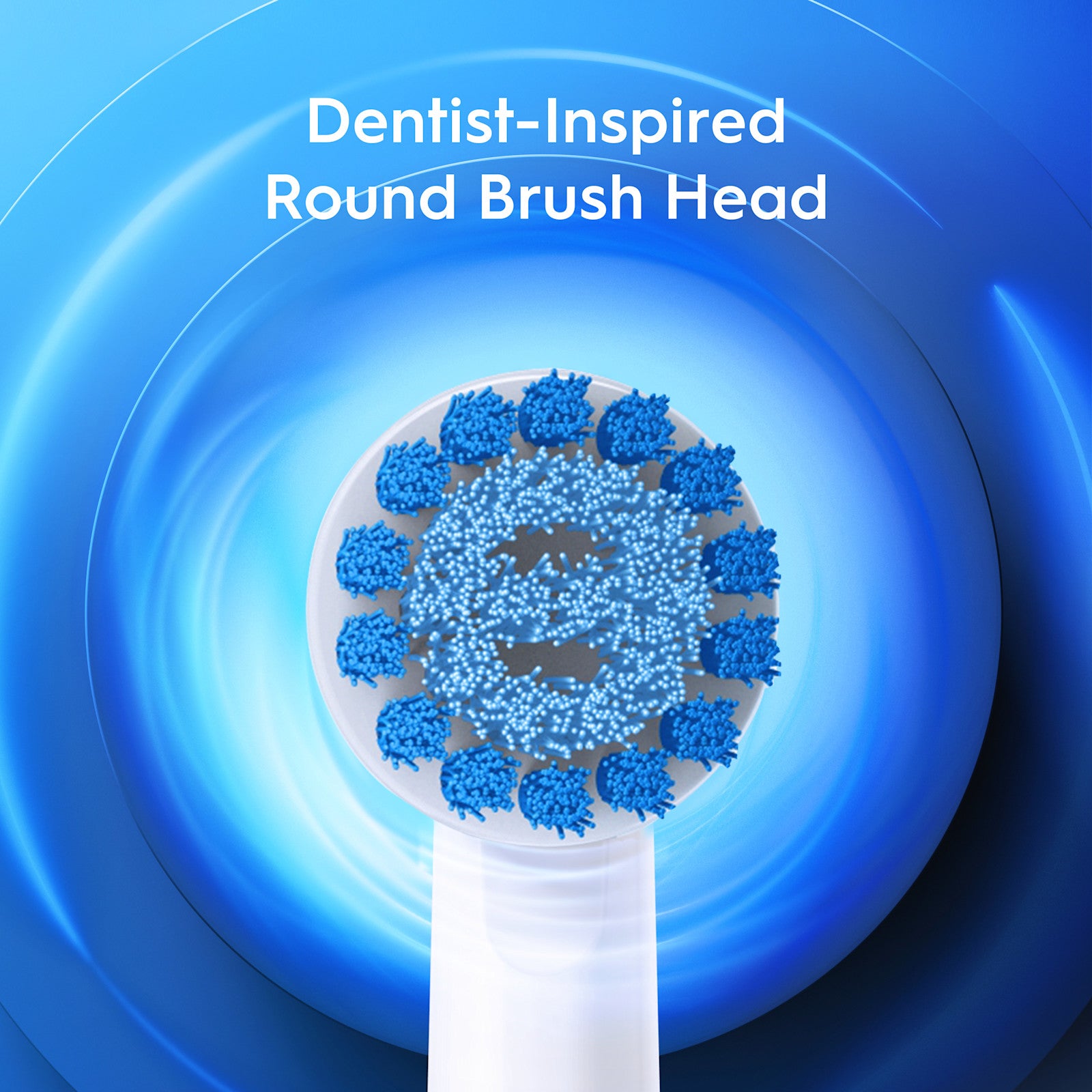 Oral-B Pro 300 Vitalité – brosse à dents électrique rechargeable, vue produit – Algérie