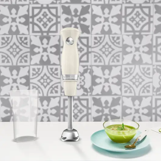 moulinex PIED MIXEUR SOLEIL 450 W IVOIRE