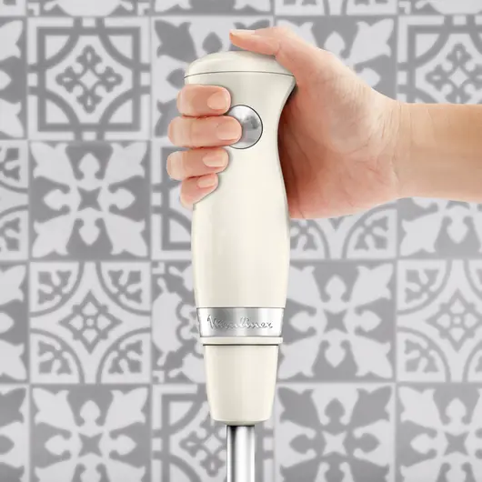 moulinex PIED MIXEUR SOLEIL 450 W IVOIRE