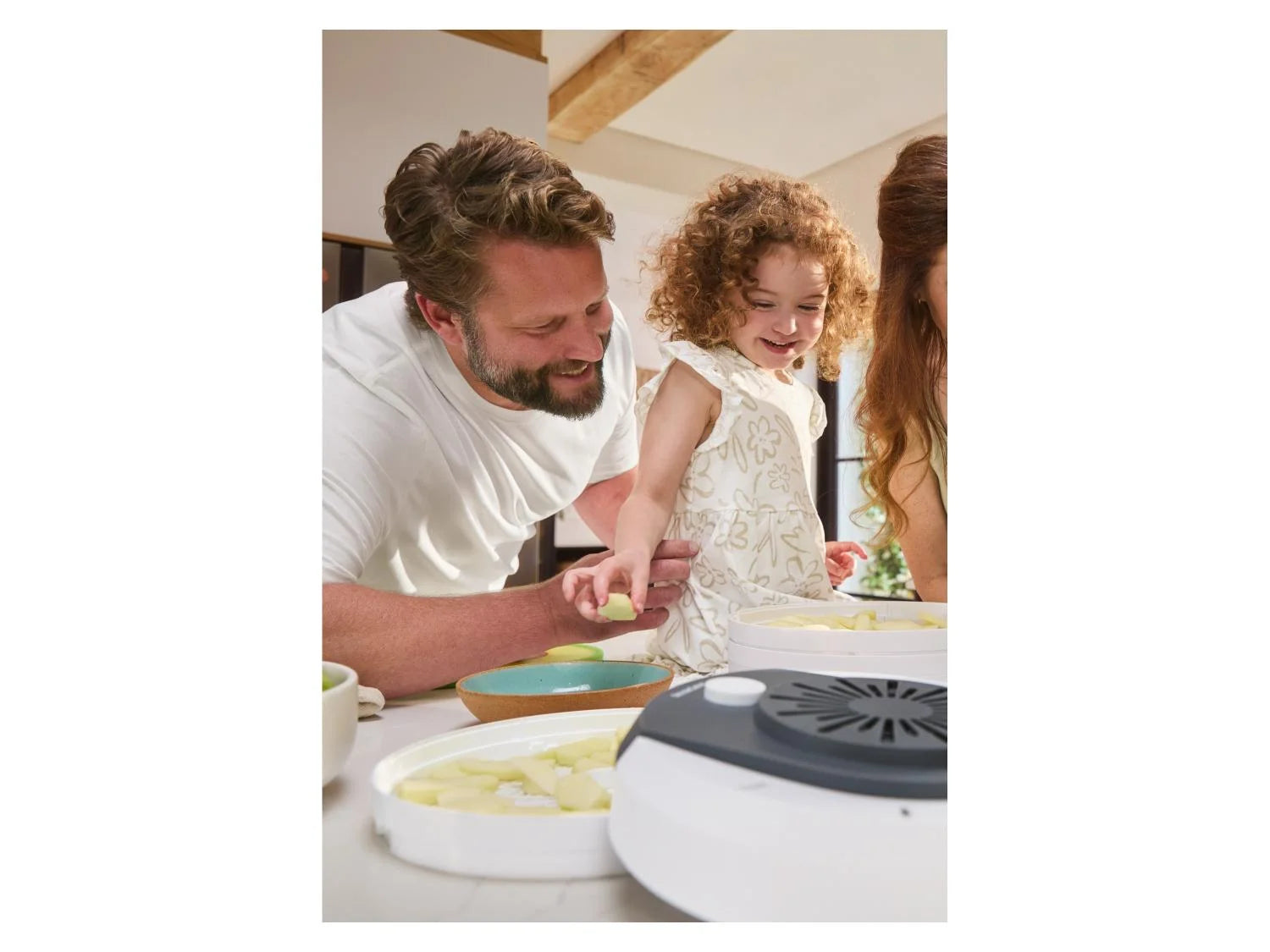 Déshydrateur alimentaire