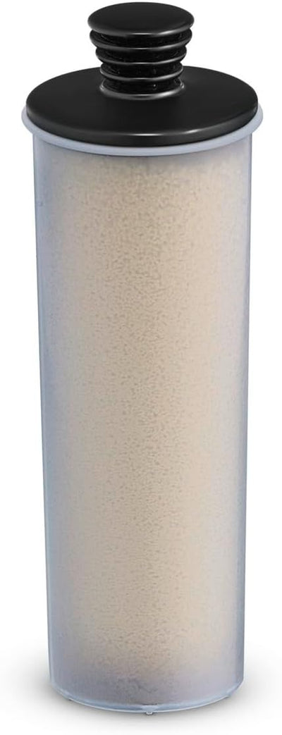 karcher Cartouche filtrante SC3