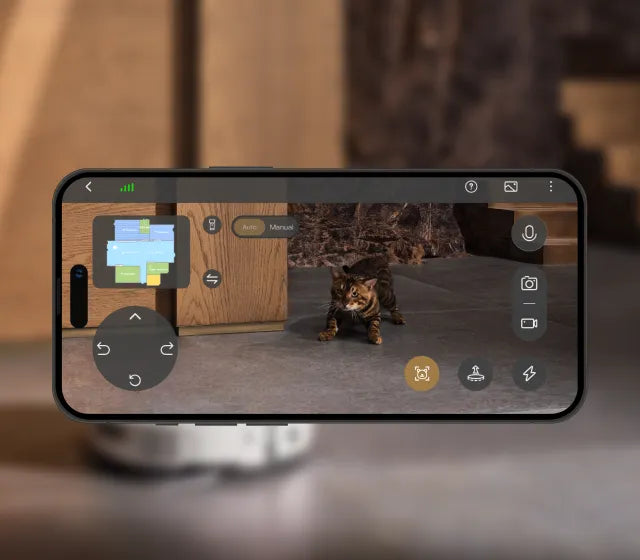 Gardez un œil sur vos animaux de compagnie