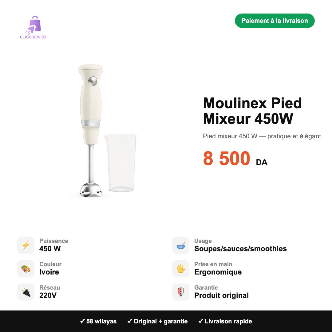 Moulinex Pied Mixeur 450W — spécifications