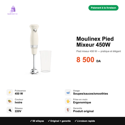 Moulinex Pied Mixeur 450W — spécifications