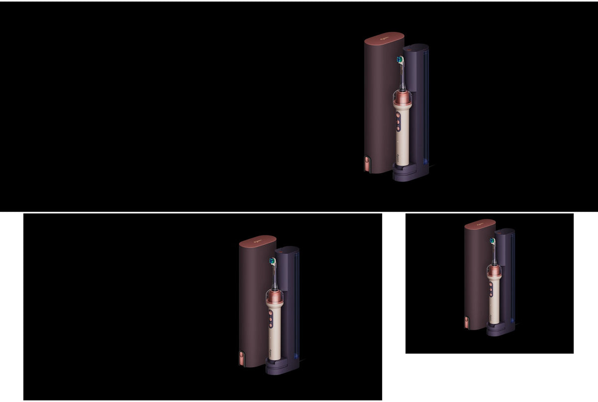 Étui de voyage de la Dyson CameraJet Rose céramique – Algérie