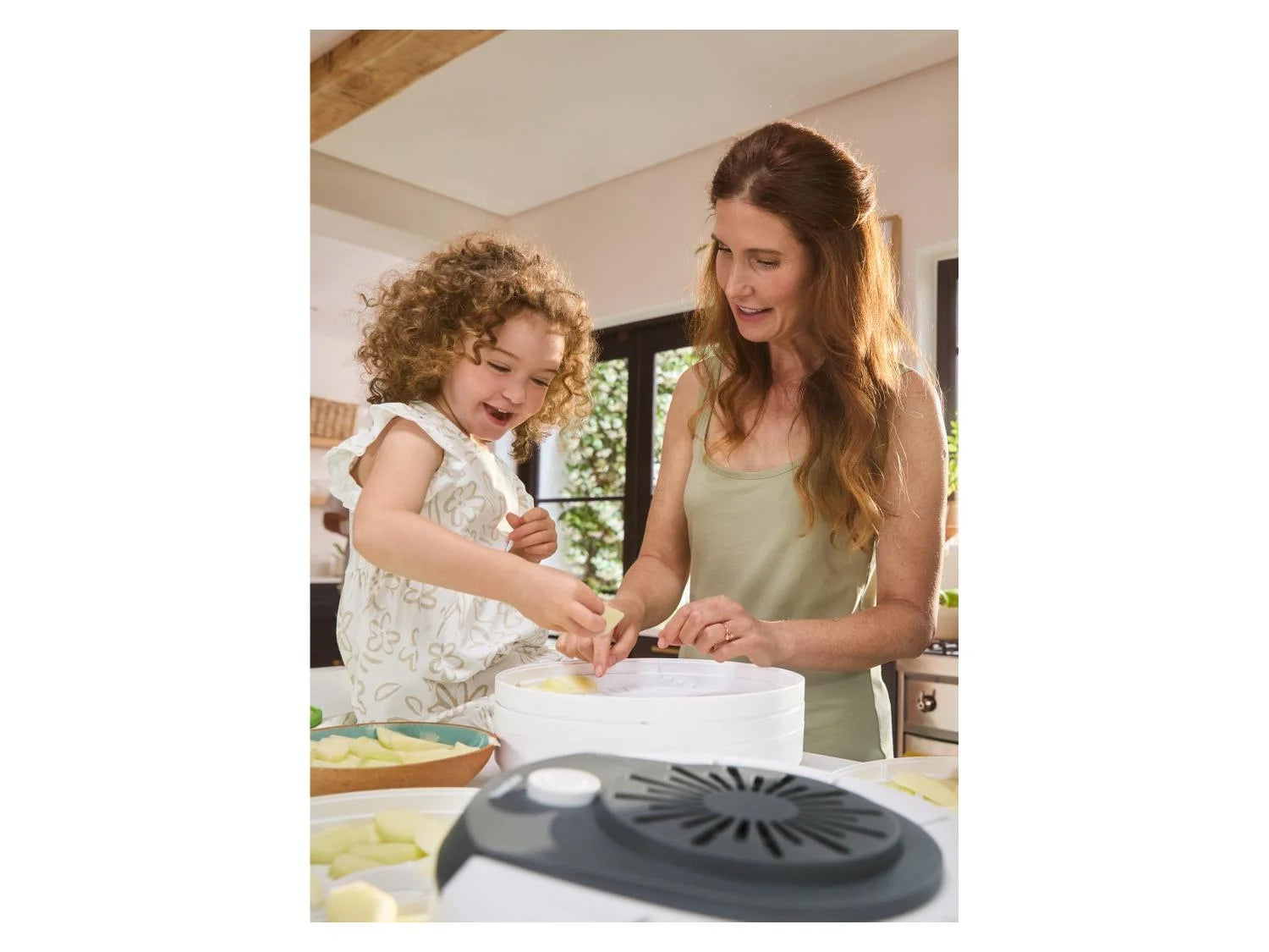 Déshydrateur alimentaire