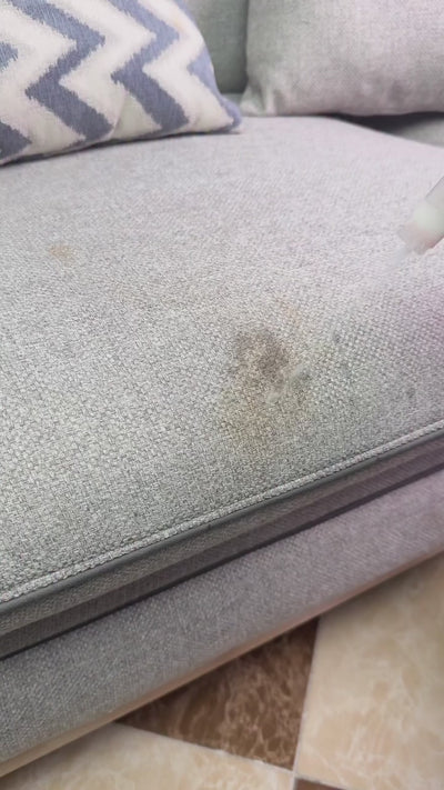 Vidéo de démonstration — Nettoyeur Détacheur Rowenta Clean IT Pet — vidéo 4