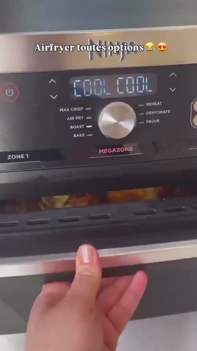 Ninja Air Fryer 10.4L