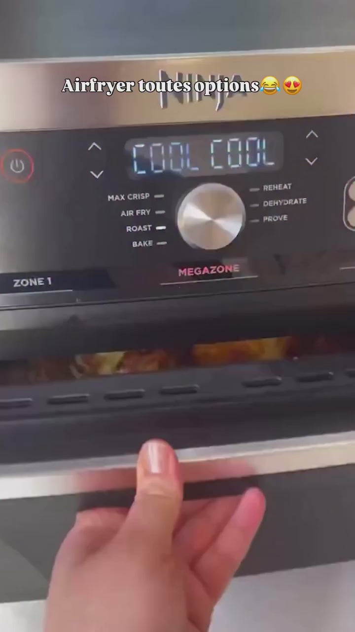 Ninja Air Fryer 10.4L