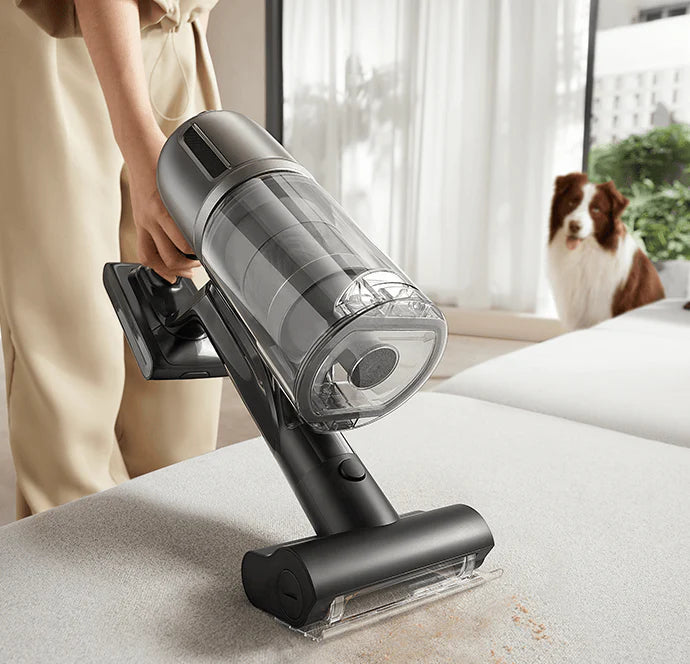 Votre solution indispensable pour les problèmes de poils